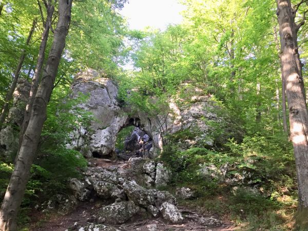 Brama Twardowskiego w Złotym Potoku -Jura