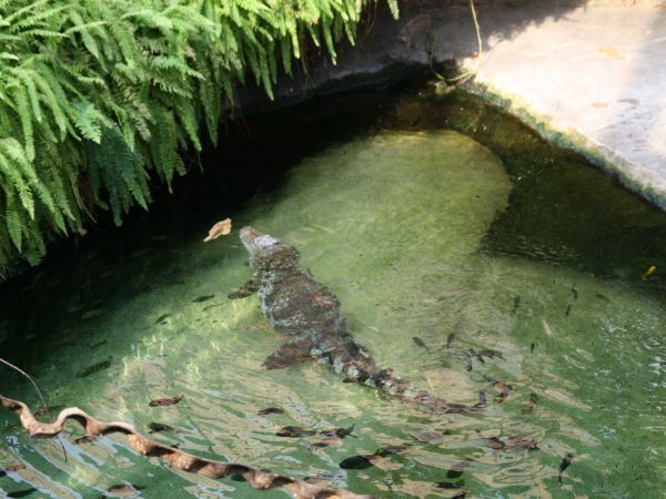 Zwiedzanie Zoo