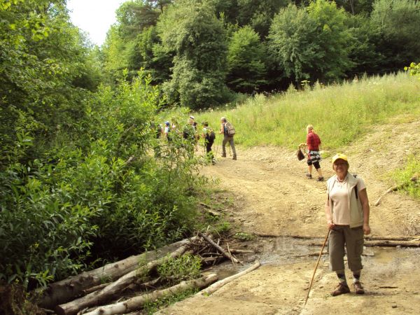 Zdjęcia Przybyszów