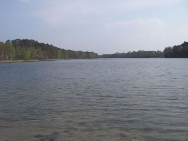 Zdjęcia Stołuń