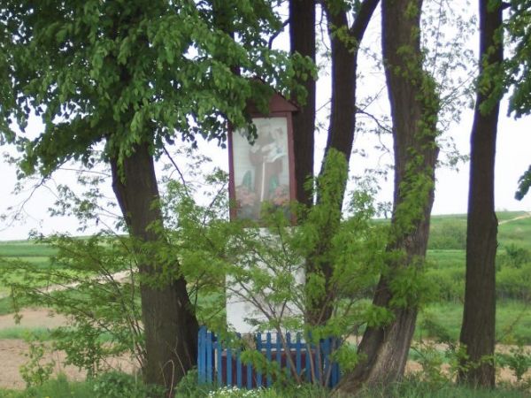 Zdjęcia Nowa Wieś Szlachecka