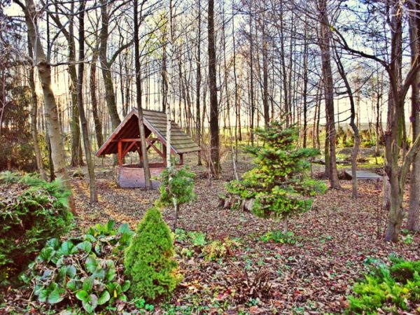 Zdjęcia Ściborowice