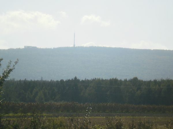Zdjęcia Sosnówka