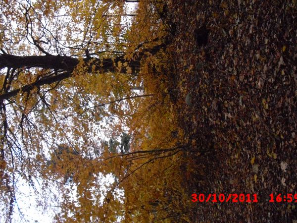 Zdjęcia Kamienica Szlachecka