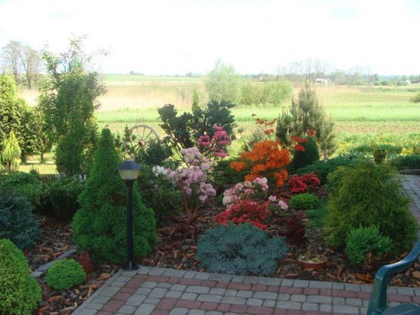 Zdjęcia Wojaszówka