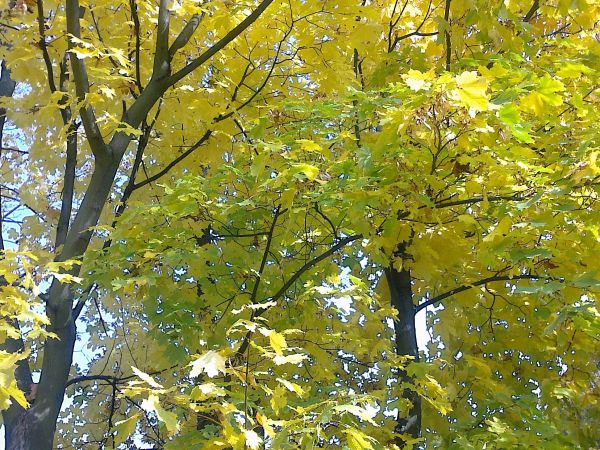 Zdjęcia Prawiedniki