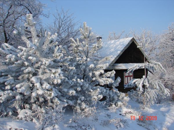 Zdjęcia Gogołów