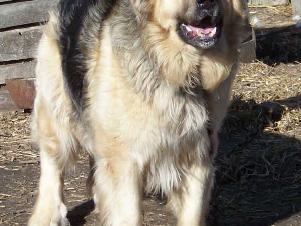 Zdjęcia Sławsk Wielki