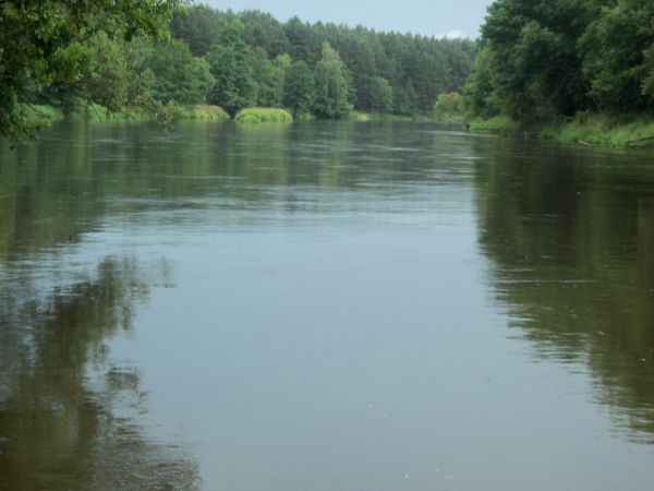 Zdjęcia Teofilów