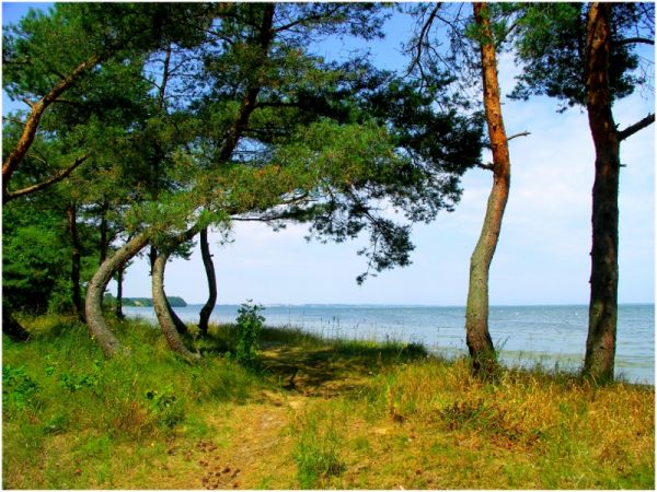 Zdjęcia Błądzikowo