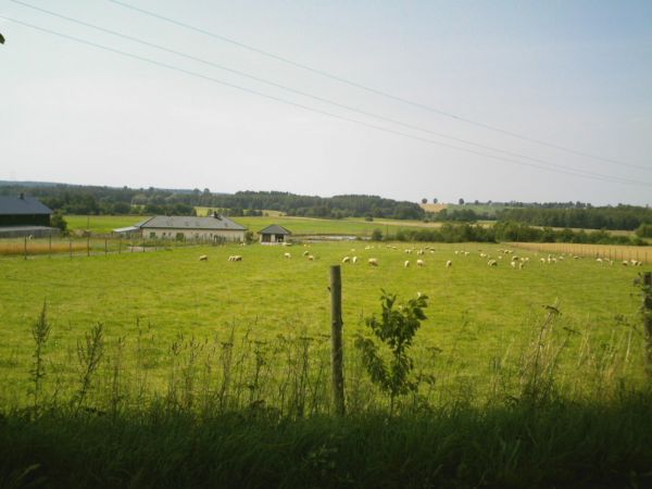 Zdjęcia Wilkowo Nowowiejskie