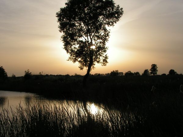 Zdjęcia Żłobizna