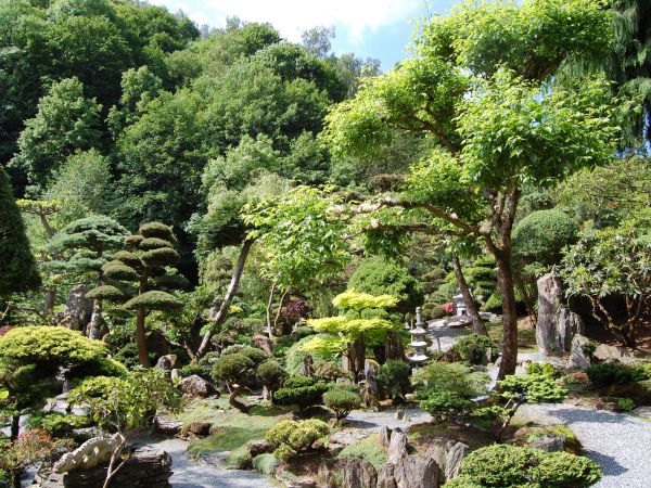 Ogród Japoński 