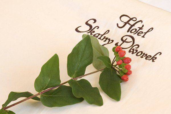 Hotel Skalny Dworek ***