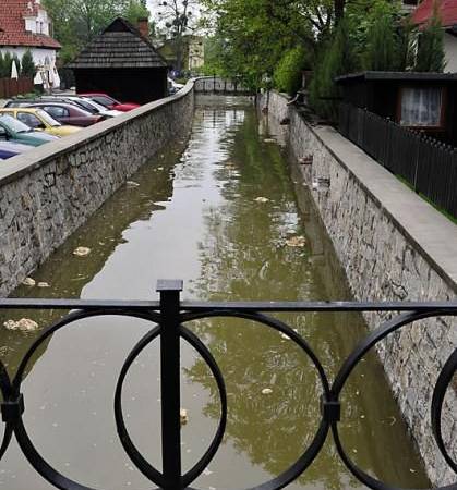 19 maja godz 11:54 fot. Mateusz Stachyra 19 maja godz 11:54 fot. Mateusz Stachyra