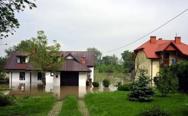 fot. M. Stachyra ul.Puławska 2010.05.20 11:14 fot. M. Stachyra ul.Puławska 2010.05.20 11:14