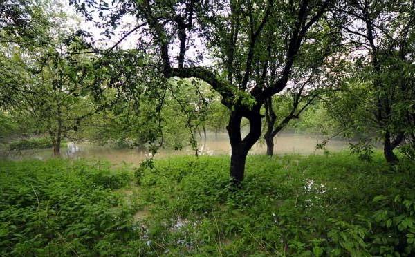 fot. M. Stachyra ul.Puławska 2010.05.20 17:32 fot. M. Stachyra ul.Puławska 2010.05.20 17:32