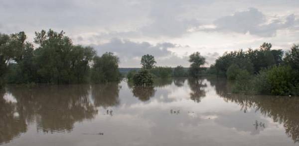 19 maja godz. 16:25. Wisła w Parchatce. Fot. Piotr Żybura 19 maja godz. 16:25. Wisła w Parchatce. Fot. Piotr Żybura