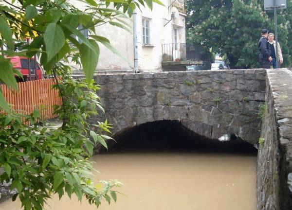 Drugi - licząc od Wisły - mostek na Grodzarzu. Fot. P. Żybura. Drugi - licząc od Wisły - mostek na Grodzarzu. Fot. P. Żybura.