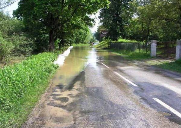 Fot. Ines 21.05.2010 godz. 11.00 - ul. Puławska Fot. Ines 21.05.2010 godz. 11.00 - ul. Puławska