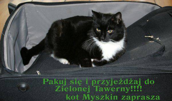 Pokoje nad Zieloną Tawerną Pokoje nad Zieloną Tawerną