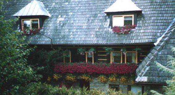 Lubień