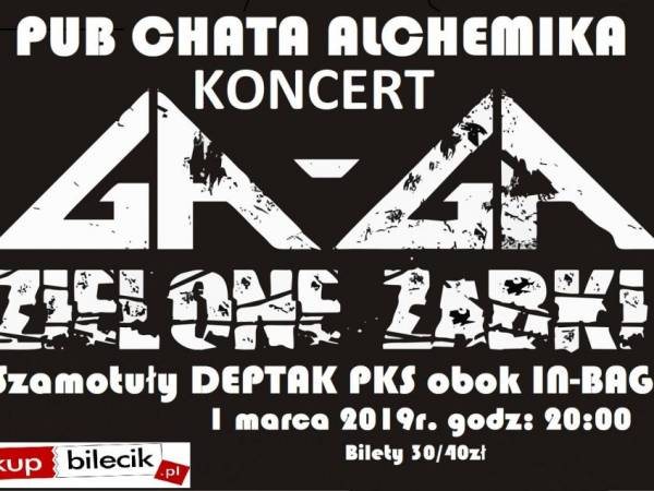 Koncert Ga-Ga Zielone Żabki w MKS Fraktal w Mikołowie