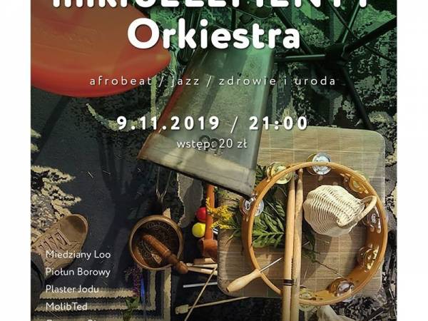 Koncert Orkiestry MIKROELEMENTY w Zakopanem