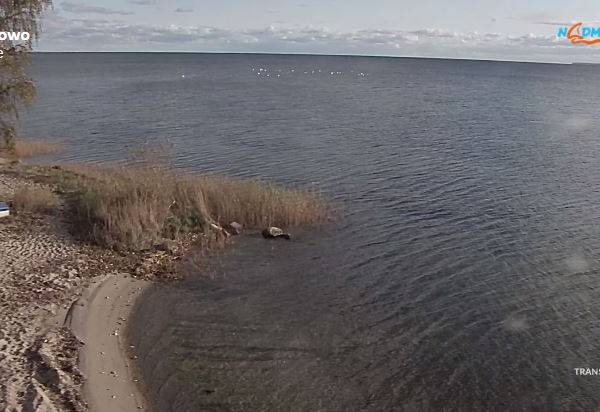 Kamera Władysławowo, Widok na morze Kamera Władysławowo, Widok na morze