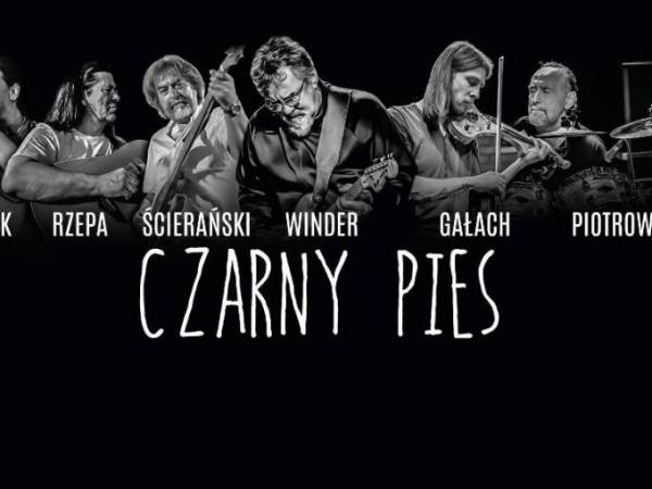 Czarny Pies w Blues Clubie w Gdyni