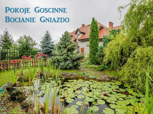 Bocianie Gniazdo Bocianie Gniazdo