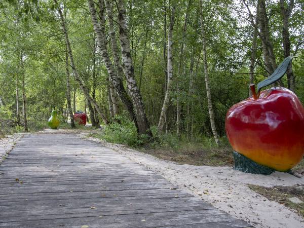 Park Rozrywki MegaLandia