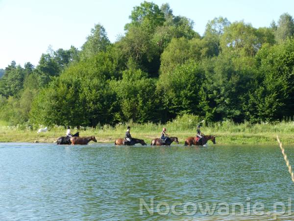 Ropuszy Dwór Ropuszy Dwór