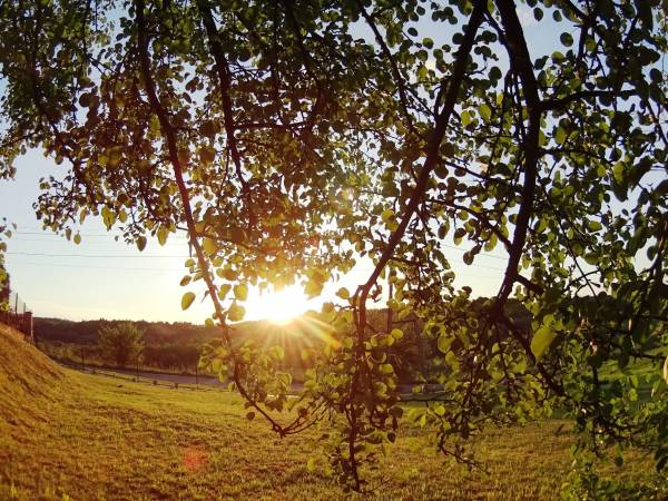 Gospodarstwo agroturystyczne Zacisze