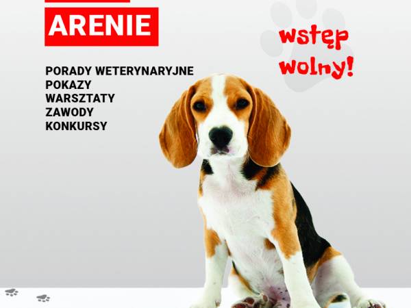 Dzień Psa 2019 w Ergo Arenie w Gdańsku