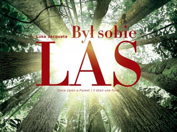 Półkolonie letnie w Palmiarni Poznańskiej: pokaz filmu „Był sobie las”