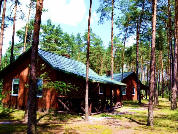 Domki nad Tanwią Domki nad Tanwią