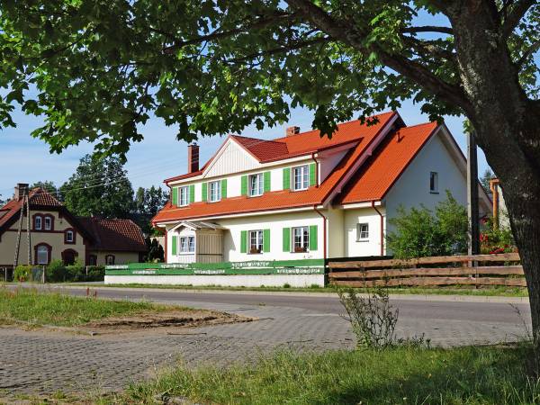 Zielony Kot Zielony Kot