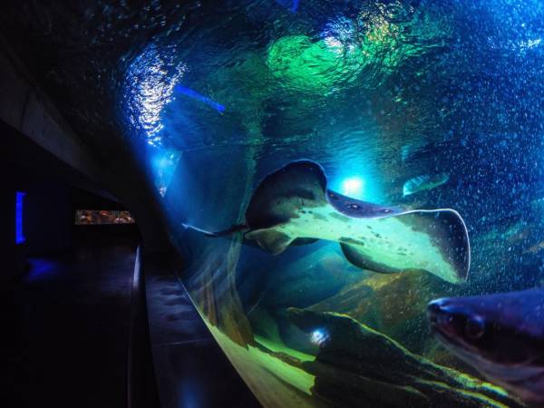 Oceanarium w Międzyzdrojach
