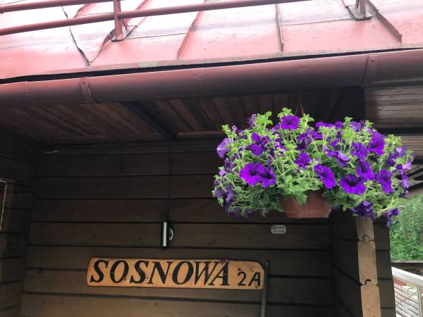 Sosnowy Zakątek Sosnowy Zakątek