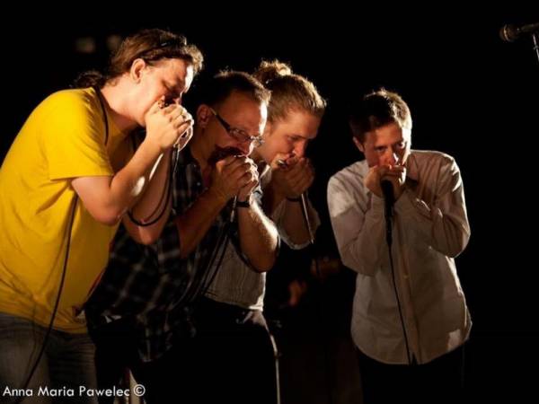 Koncert Harpcore w Galerii Sowa w Olsztynie