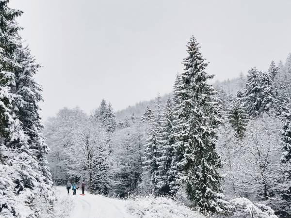 Apartamenty Siedlisko Apartamenty Siedlisko
