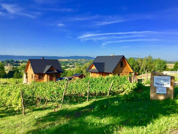 Winnica Nad Źródłem - Domki w Winnicy Winnica Nad Źródłem - Domki w Winnicy