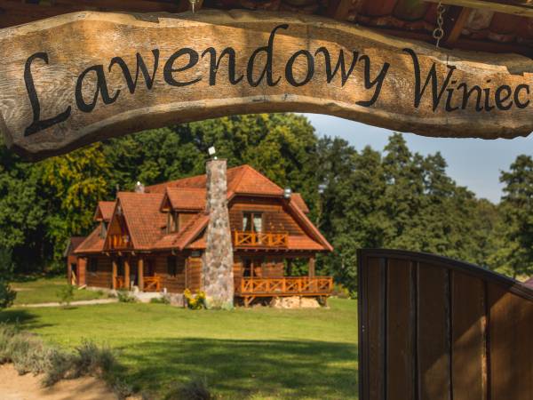 Lawendowy Winiec Lawendowy Winiec
