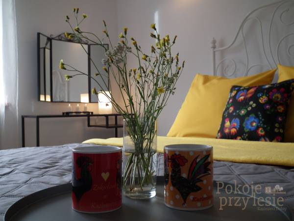 Pokoje i Mieszkanie Przy Lesie Pokoje i Mieszkanie Przy Lesie