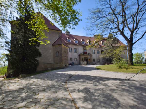 Zamek w Przegorzałach