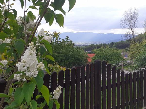 widok z wiaty grilowej