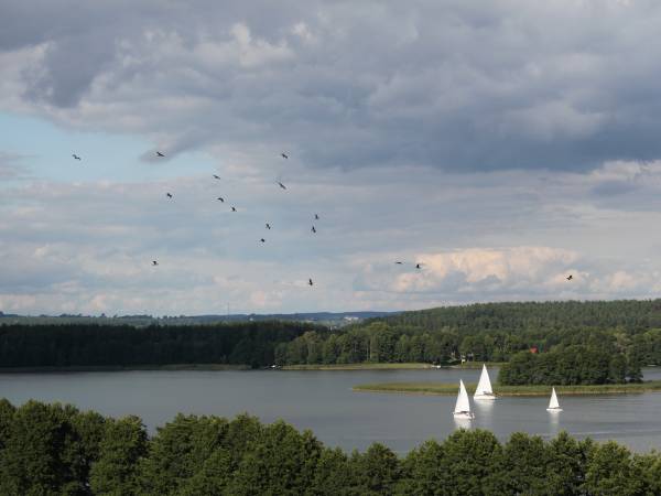 Willa NaviOne 60m2 dla 8 os. położona nad dwoma jez. koło Mikołajek Willa NaviOne 60m2 dla 8 os. położona nad dwoma jez. koło Mikołajek