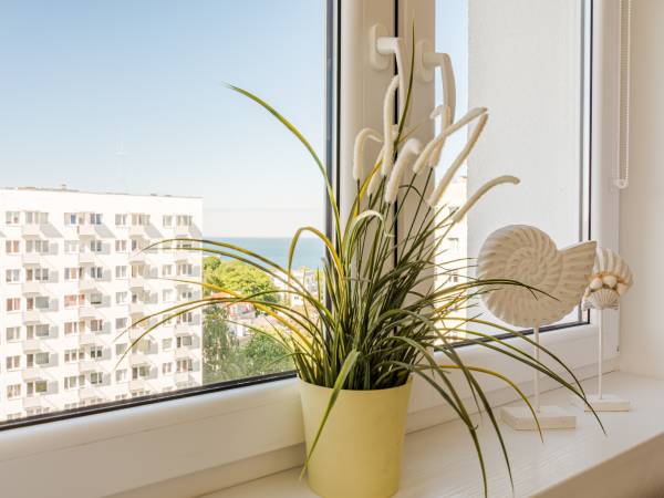 Seashell Apartment Seashell Apartment