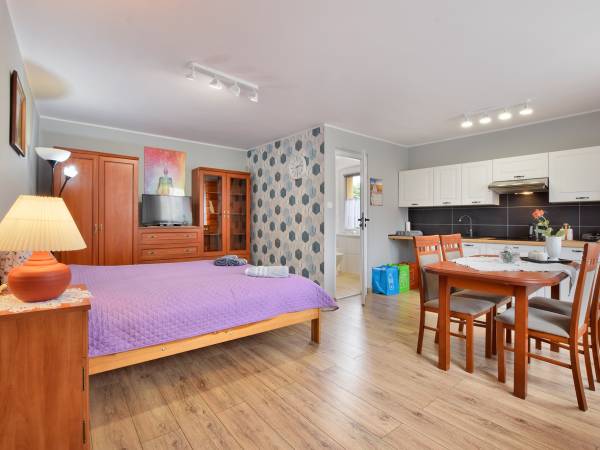 Apartament przy Tężniach Apartament przy Tężniach